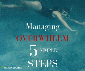 Managing Overwhelm-Therapist Checklist (3)